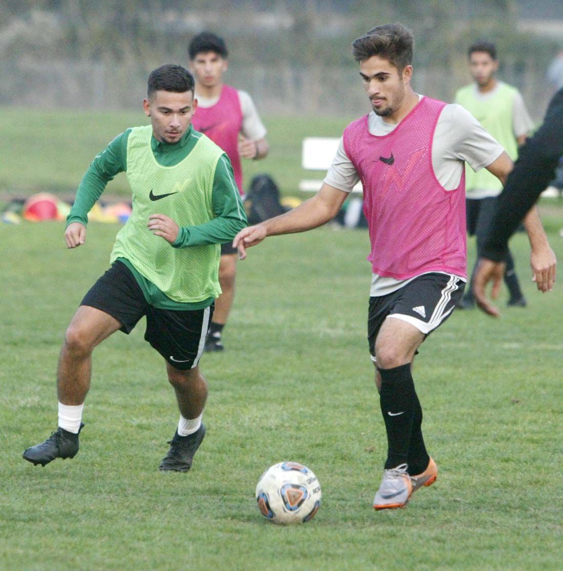 Napa Valley College men's soccer